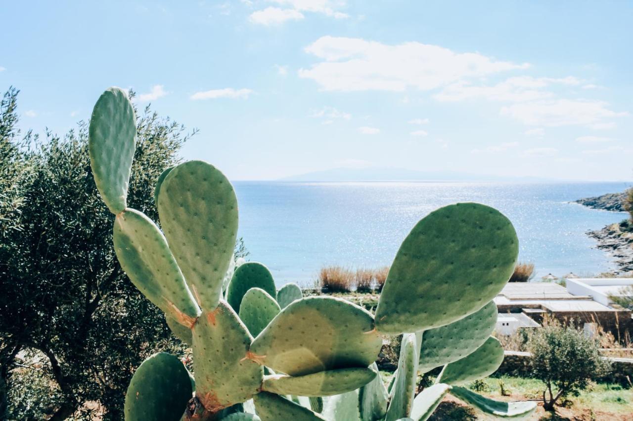 فيلا The Elaia House Mykonos أورنوس المظهر الخارجي الصورة