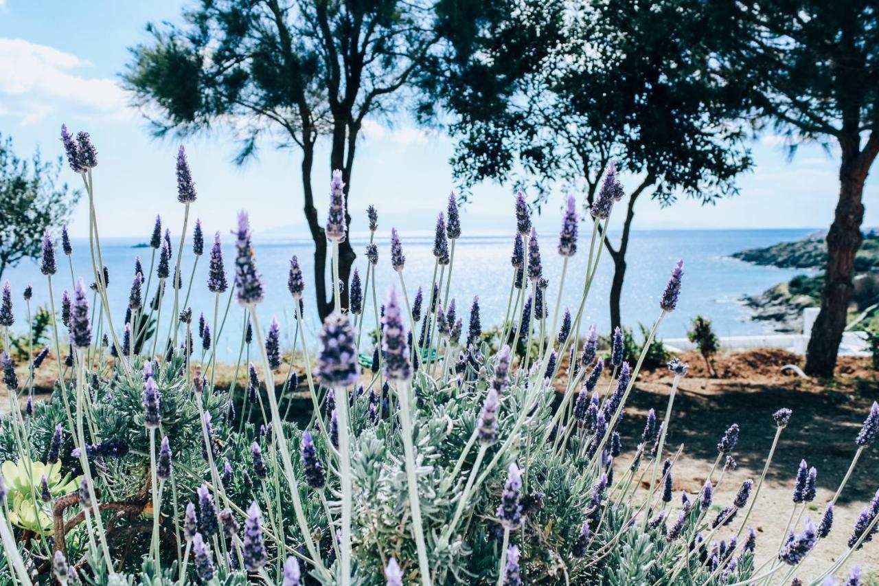 فيلا The Elaia House Mykonos أورنوس المظهر الخارجي الصورة