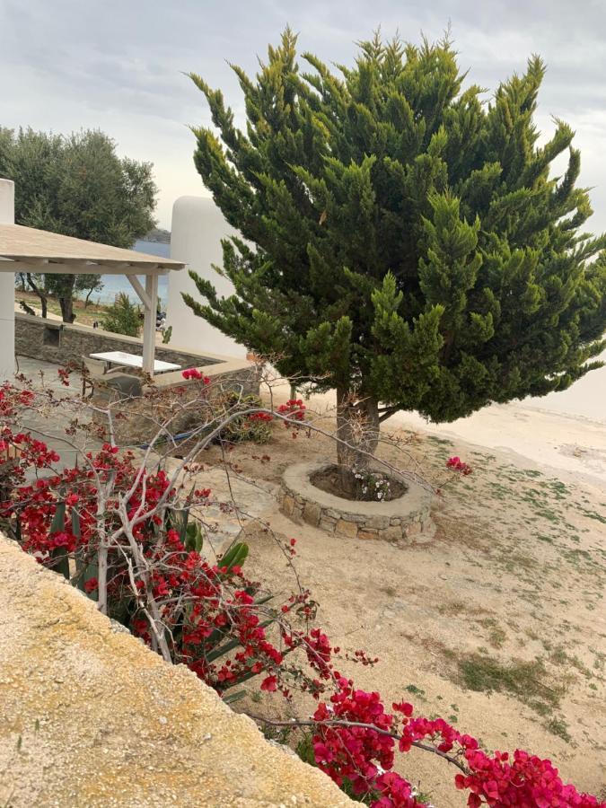 فيلا The Elaia House Mykonos أورنوس المظهر الخارجي الصورة